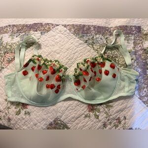 Victoria's Secret Green and Red Lace Bra